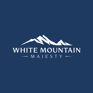 Logo-Design von Ankita B für dieses Projekt | Design: #37090250