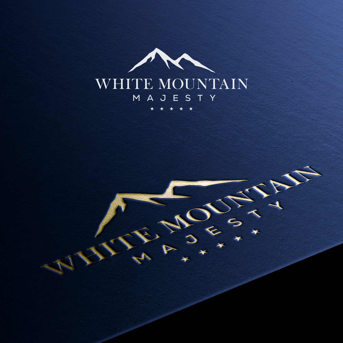 Logo Design by Ankita B for this project | Design #37102512