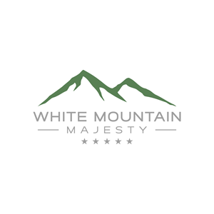 Logo Design by Ankita B for this project | Design: #37138732