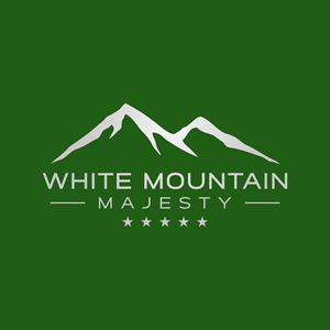 Logo Design by Ankita B for this project | Design: #37148395