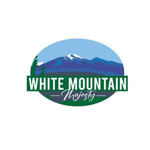 Logo Design by geni for this project | Design #37111191