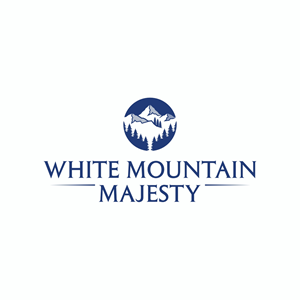 Logo Design by Ashani Bhattacharya for this project | Design #37091565