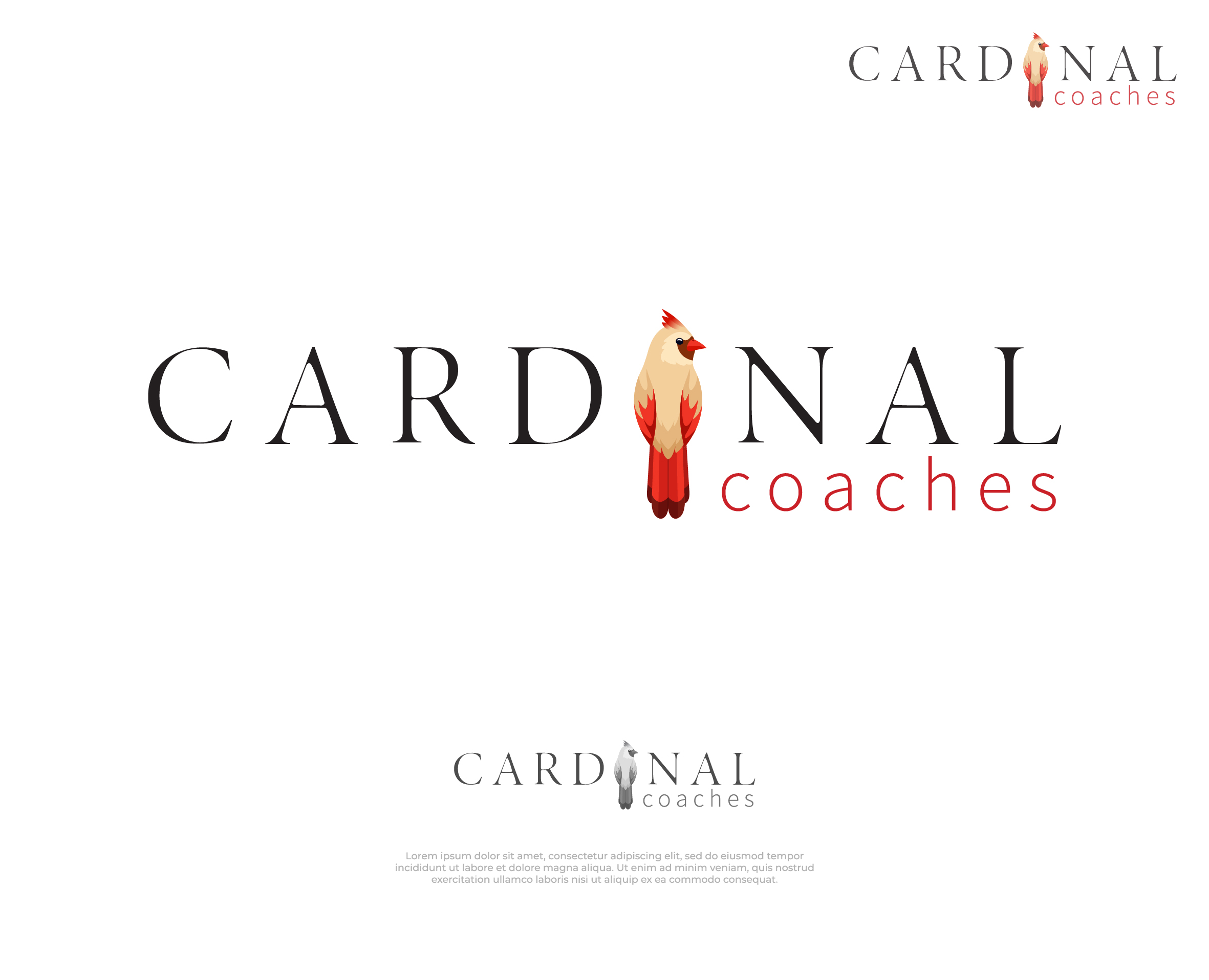 Logo Design by Nash_Shaha for this project | Design #37107637