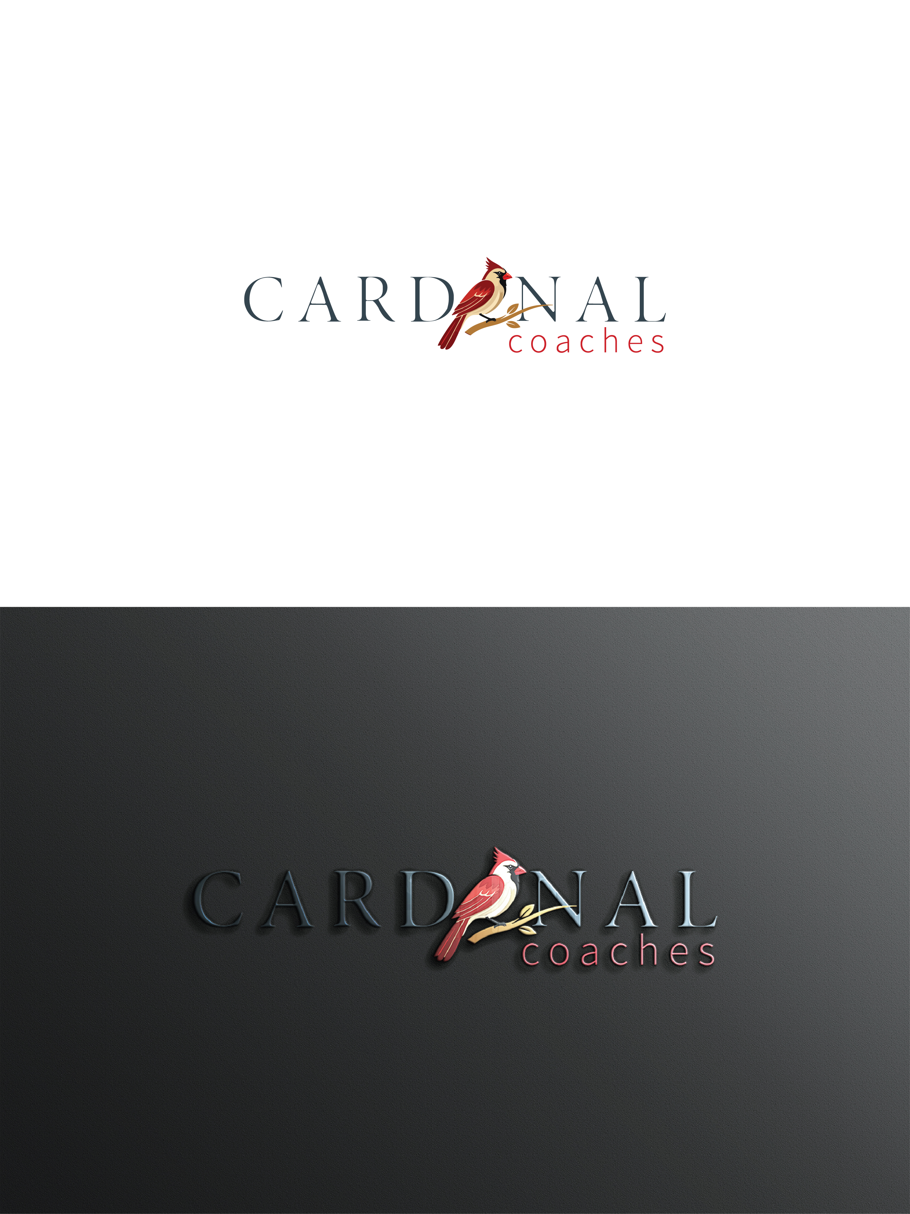 Logo Design by raju.creative for this project | Design #37092351