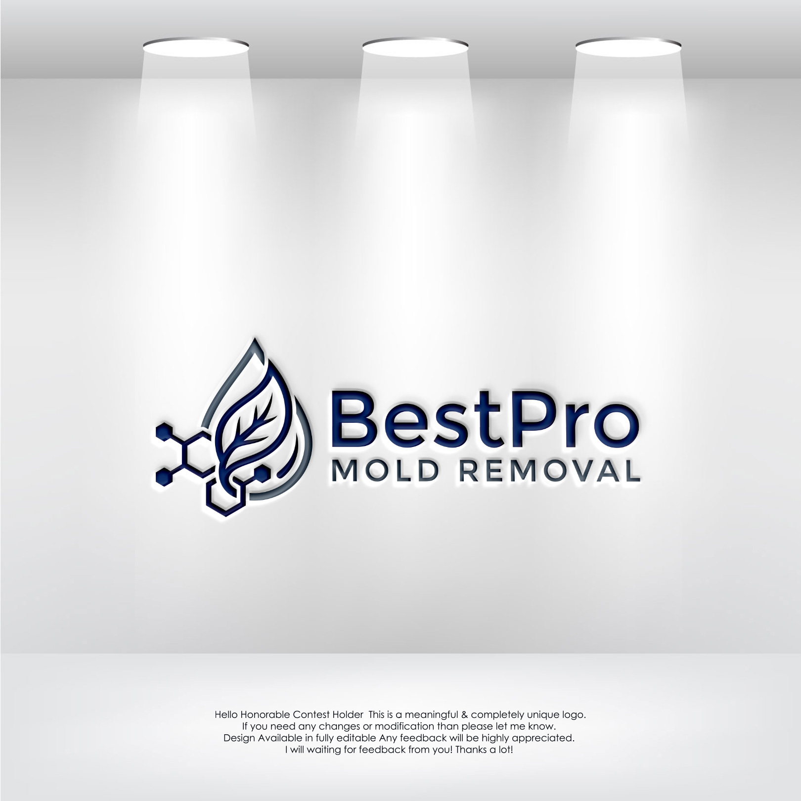 Logo Design by LogoEon for this project | Design #37098900