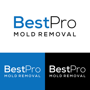 Diseño de Logo por andreaslucky para este proyecto | Diseño: #37094913