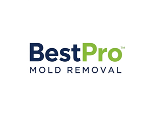 Diseño de Logo por Fahim611 para este proyecto | Diseño: #37100138