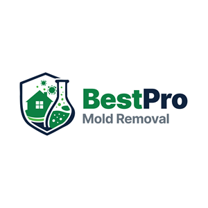 Logo Design by Afsana_Hoque
