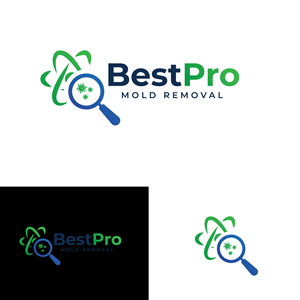 Logo Design by Delusion Studio for this project | Design: #37096191