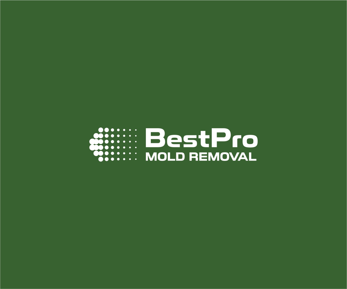 Logo Design by Logocraft for this project | Design #37100044