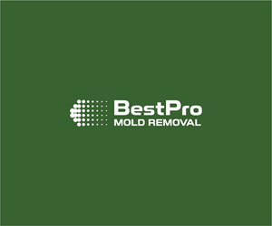 Logo Design by Logocraft for this project | Design: #37100044