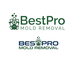 Logo Design by AlphaDezin3 for this project | Design: #37095966