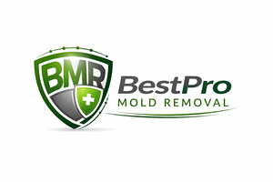 Diseño de Logo por Adeikhan para este proyecto | Diseño: #37095398