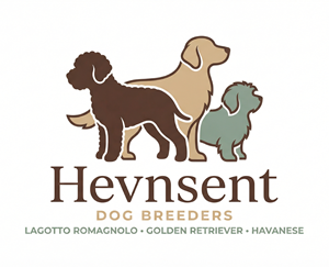 Logo Design by Bogdan Stanagui for this project | Design: #37103214