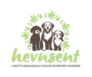 Logo Design by Cavender Studio