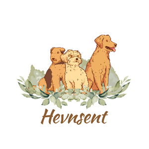 Logo Design by Delusion Studio