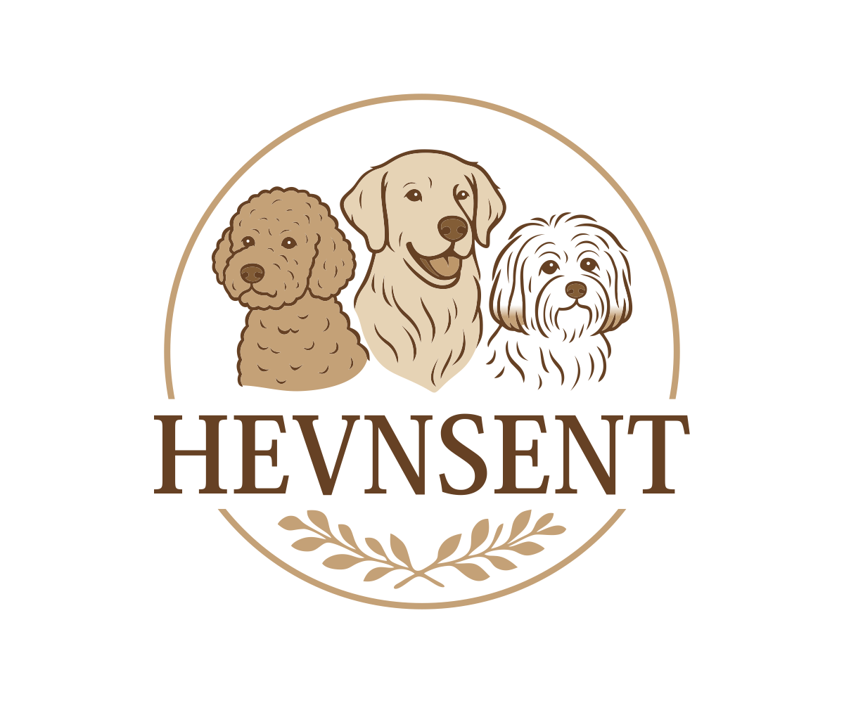 Logo Design by Agung ryz A1 for this project | Design #37117348