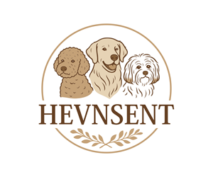 Logo Design by Agung ryz A1 for this project | Design: #37117348