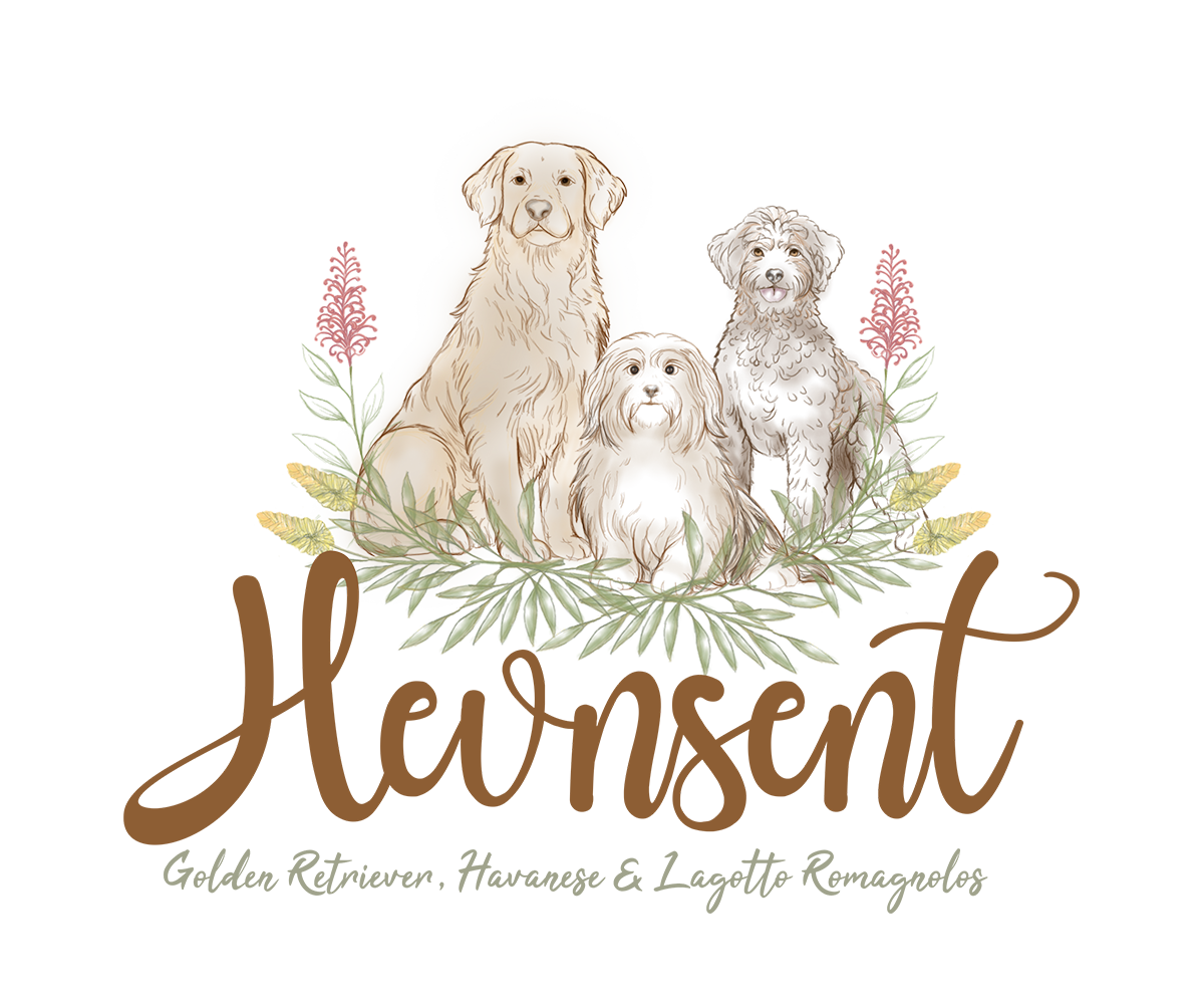 Logo Design by Lezette_G for this project | Design #37101937