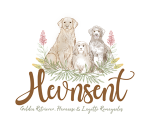 Logo Design by Lezette_G for this project | Design: #37101937