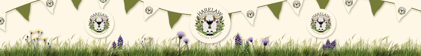 Flyer Design by Litadesign for this project | Design #37122671