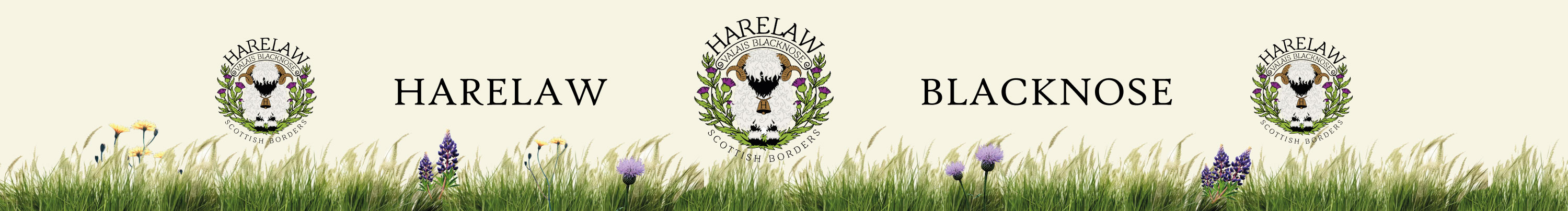 Flyer Design by Litadesign for this project | Design #37122741