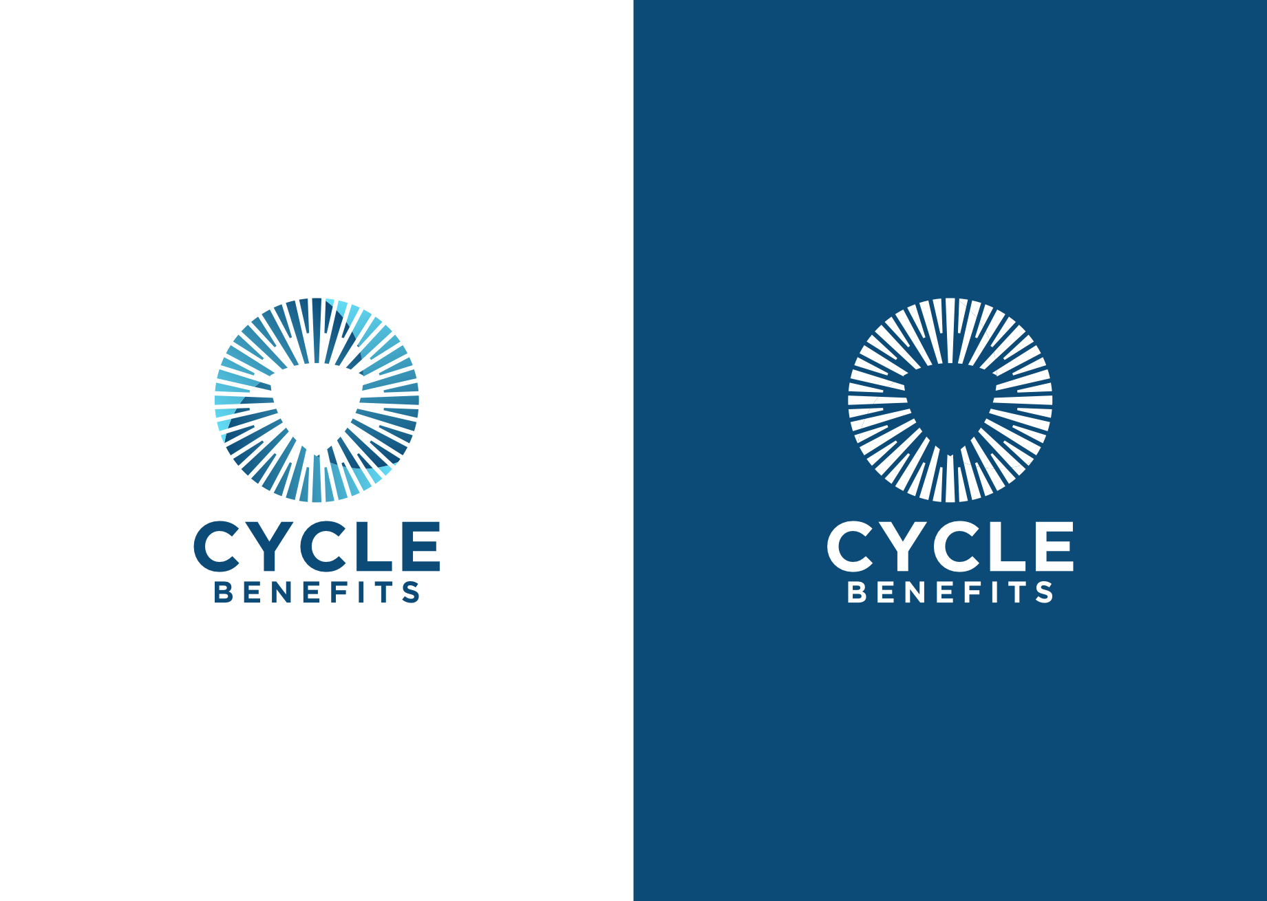 Diseño de Logo por ander sky dc para este proyecto | Diseño #37106767