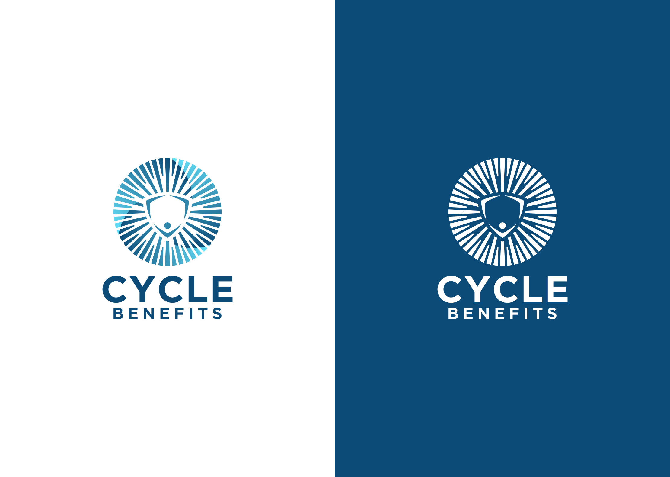 Diseño de Logo por ander sky dc para este proyecto | Diseño #37108339