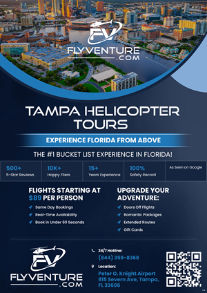 Flyer Design by pb for flyVENTURE, LLC | Design: #37112207