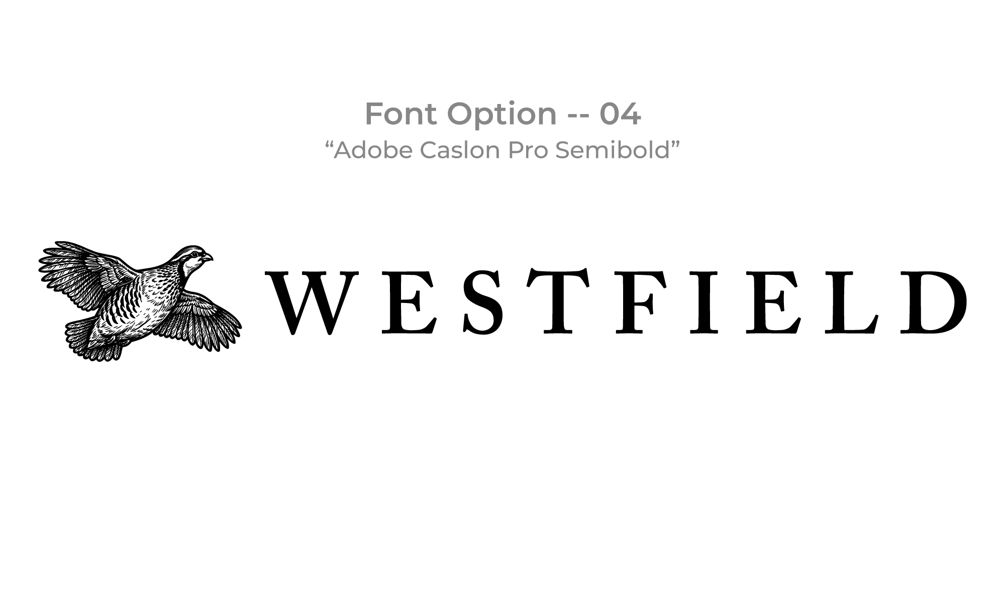 Logo Design by Md Hasin Israk for this project | Design #37133474