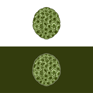 Logo Design by victipedia for gLoaT | Design: #37117612