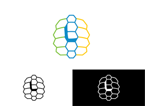 Logo Design by Ayub Ghouri