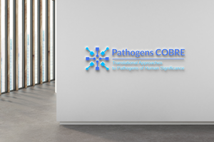 Logo Design by bak for this project | Design: #37130027