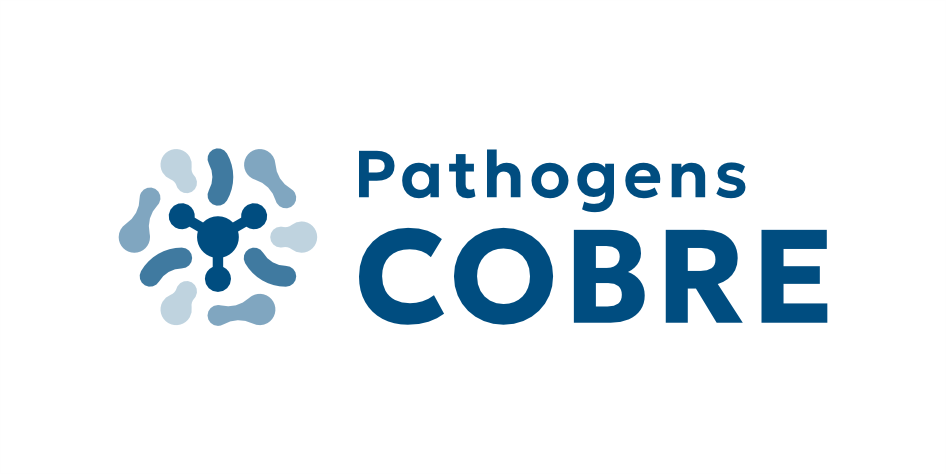 Logo Design by Patria Creative for this project | Design #37126902