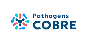 Logo Design by Patria Creative for this project | Design: #37126903