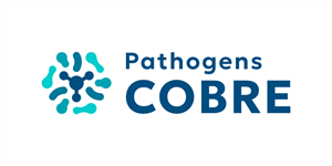 Logo Design by Patria Creative for this project | Design: #37126904