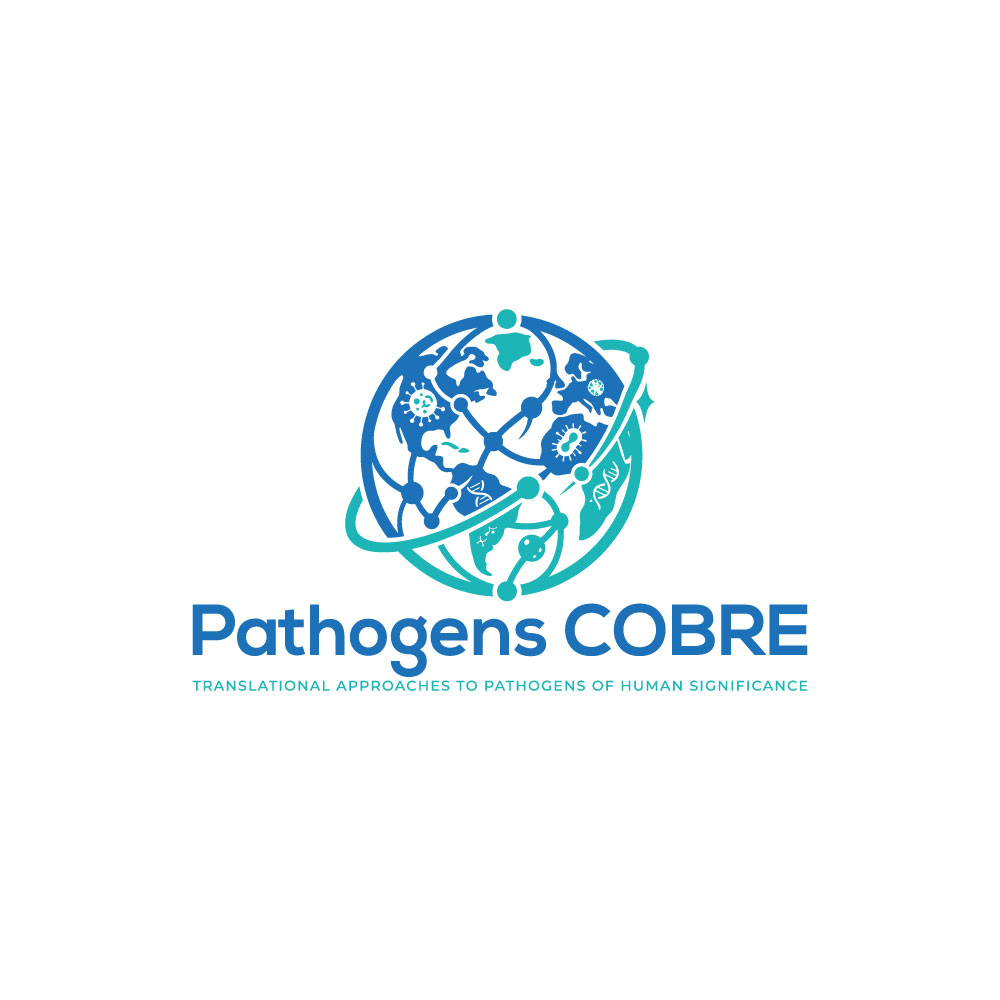 Logo Design by hellodesigneralamin for this project | Design #37137520