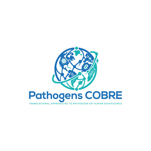 Logo Design by hellodesigneralamin for this project | Design: #37137520