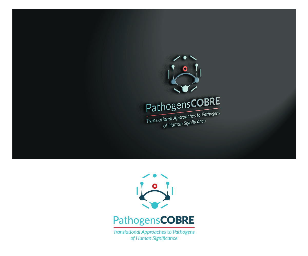 Logo Design by dstudios for this project | Design #37152834