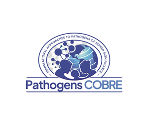 Logo Design by rgb01 for this project | Design: #37170256