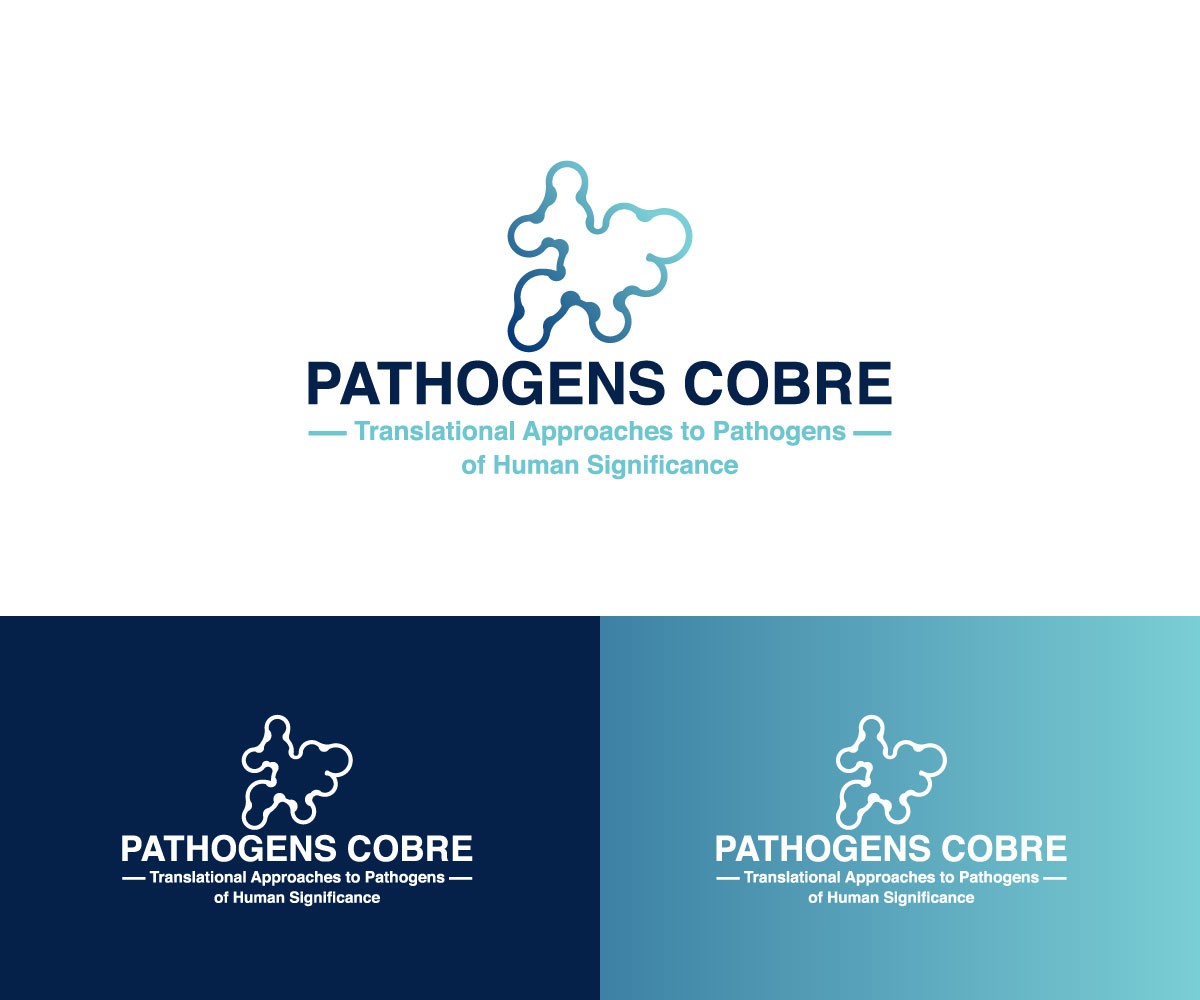 Logo Design by Design_tamim for this project | Design #37130963