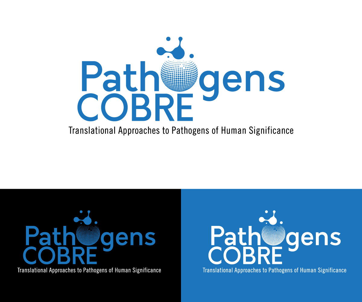 Logo Design by RaKu 2 for this project | Design #37140435