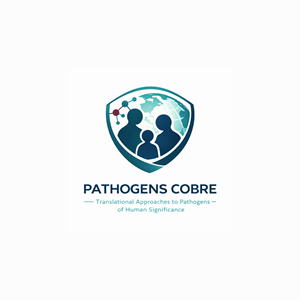 Logo Design by MD Kausar Ali for this project | Design: #37135565