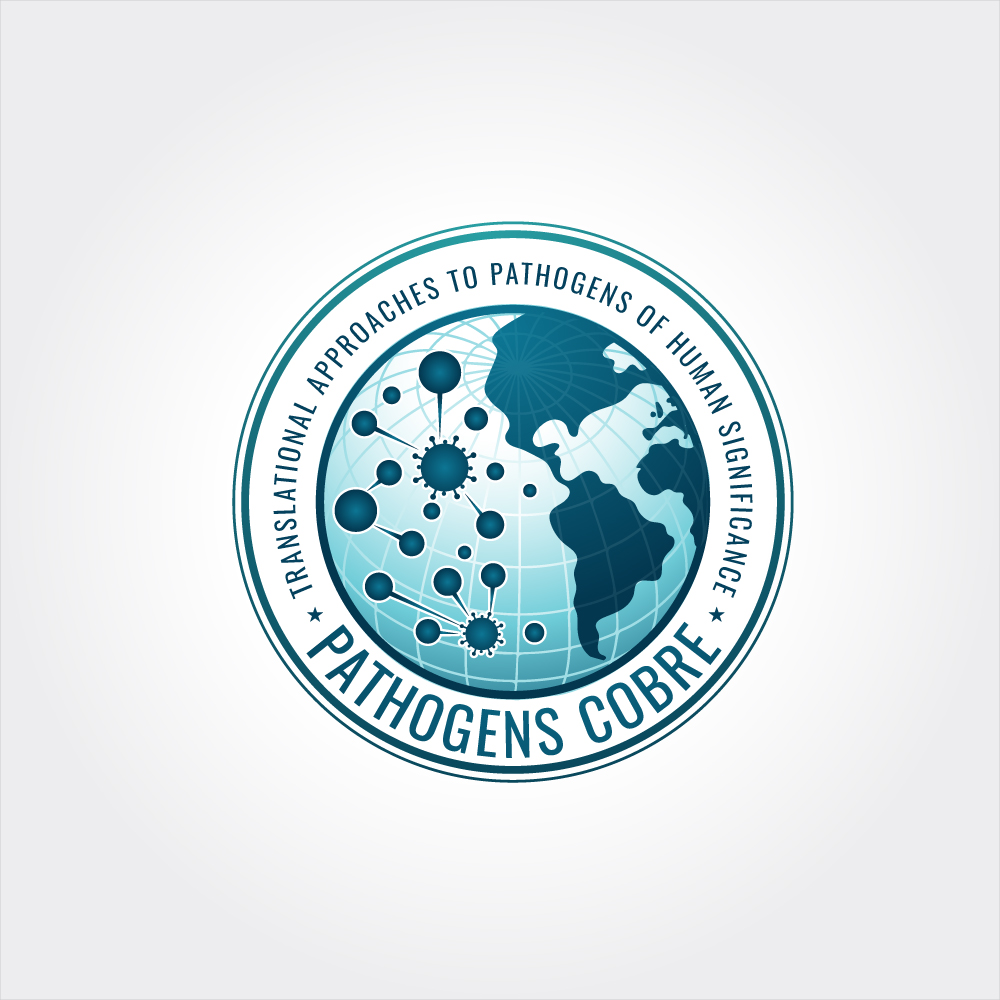 Logo Design by Krold IT Solutions for this project | Design #37128201