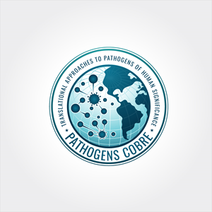 Logo Design by Krold IT Solutions for this project | Design: #37128201