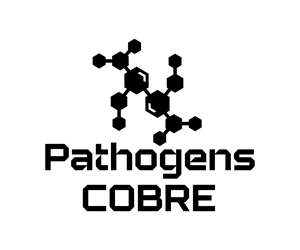 Logo Design by Fredericm for this project | Design: #37130071