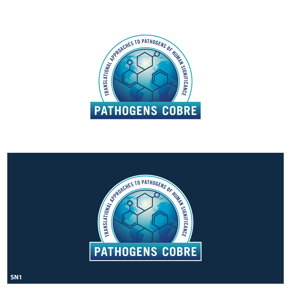 Design de Logo par Sujit Banerjee pour ce projet | Design #37124492