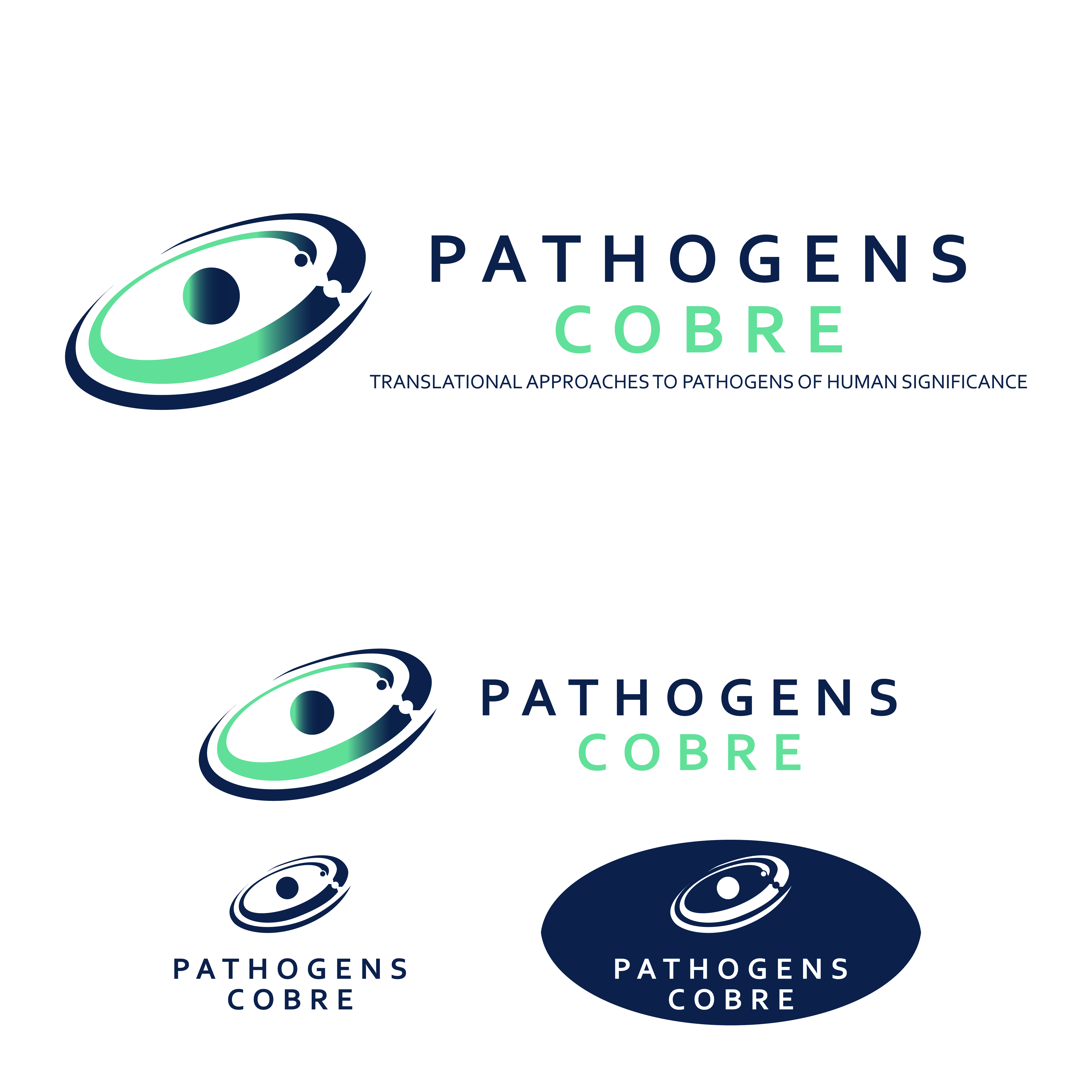 Logo Design by danangadhi.satrio for this project | Design #37172869
