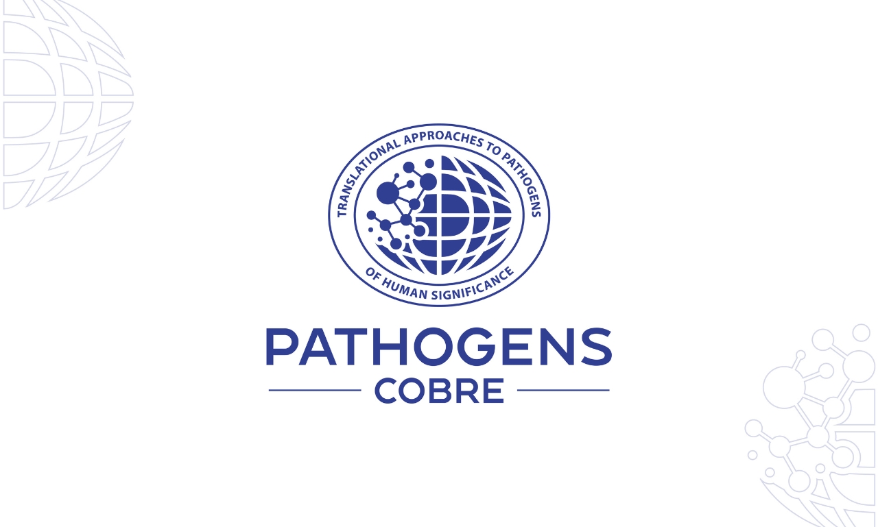 Logo Design by Rosiana Design for this project | Design #37153393