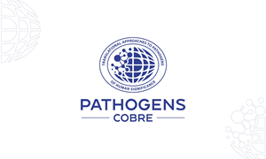 Logo Design by Rosiana Design